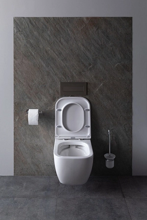 Унитаз подвесной Allen Brau Infinity 4.21004.20 с крышкой, белый глянец