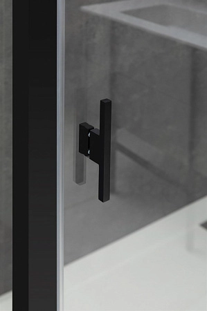 Душевая дверь Allen Brau Priority 100 черный браш 3.31006.BBA