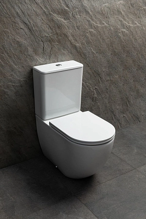 Чаша напольного унитаза Allen Brau Priority Tornado 4.31006.20 с крышкой, белый глянец