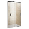 Душевая дверь Riho Ocean GU0202100 120 см L/R