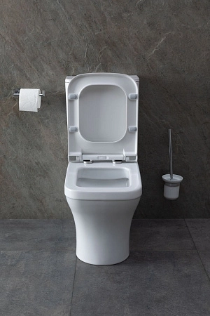 Чаша напольного унитаза Allen Brau Infinity 4.21012.20 с крышкой, белый глянец