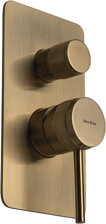 Смеситель для ванны Allen Brau Priority 5.31011-GB (с внутренней частью, 2 выхода) золото