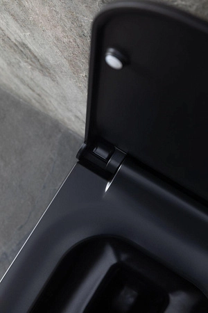 Унитаз подвесной Allen Brau Infinity 4.21011.31 с крышкой, черный матовый