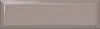 Плитка керамическая Kerama Marazzi Аккорд 8.5x28.5 9029 х9999223574