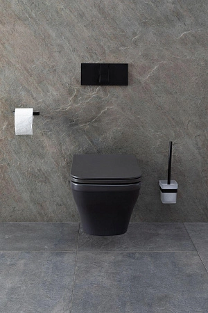 Унитаз подвесной Allen Brau Infinity 4.21011.AN с крышкой, антрацит