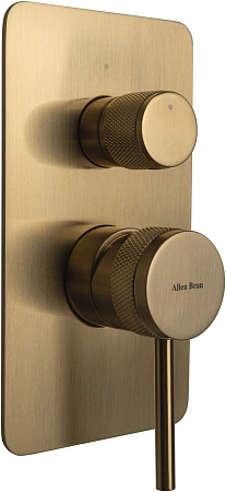 Смеситель для ванны Allen Brau Priority 5.31011-GB (с внутренней частью, 2 выхода) золото