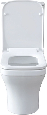Чаша напольного унитаза Allen Brau Infinity 4.21012.20 с крышкой, белый глянец