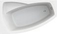 Акриловая ванна STWORKI Монтре 170x105 L, с каркасом 557151 Акриловая ванна STWORKI Монтре 170x105 L, с каркасом 557151