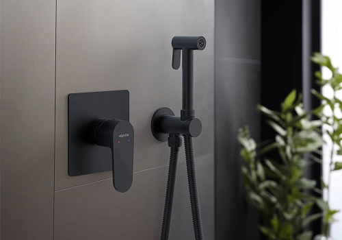 Гигиенический душ Aquatek ОБЕРОН AQ1219MB Черный матовый, встраиваемый Гигиенический душ Aquatek ОБЕРОН AQ1219MB Черный матовый, встраиваемый