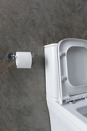 Чаша напольного унитаза Allen Brau Infinity 4.21012.20 с крышкой, белый глянец