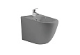 Биде подвесное Aquatek ЕВРОПА AQ1016-MG 510x355x310, цвет серый матовый Биде подвесное Aquatek ЕВРОПА AQ1016-MG 510x355x310, цвет серый матовый