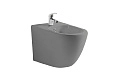 Биде подвесное Aquatek ЕВРОПА AQ1016-MG 510x355x310, цвет серый матовый Биде подвесное Aquatek ЕВРОПА AQ1016-MG 510x355x310, цвет серый матовый