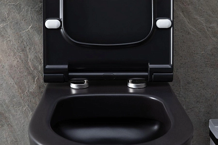 Унитаз подвесной Allen Brau Priority 4.31001.31 с крышкой, черный матовый