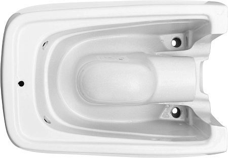 Унитаз подвесной Allen Brau Liberty 4.33007.20 с крышкой, белый