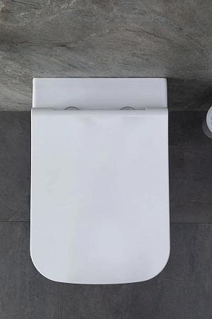 Унитаз подвесной Allen Brau Infinity 4.21011.20 с крышкой, белый глянец