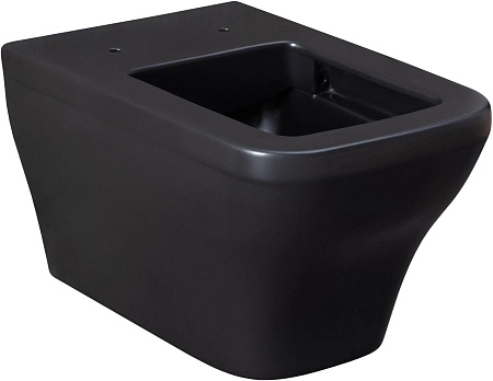 Унитаз подвесной Allen Brau Infinity 4.21011.31 с крышкой, черный матовый