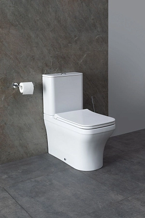 Чаша напольного унитаза Allen Brau Infinity 4.21012.20 с крышкой, белый глянец