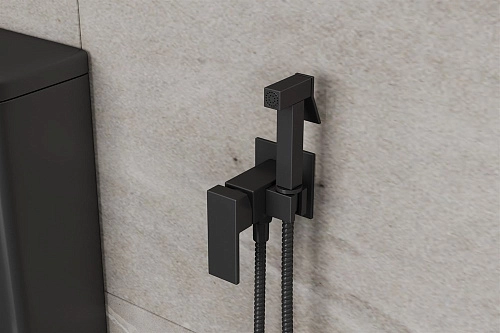 Гигиенический душ RUSH Thira (TR3635-99Black) Гигиенический душ RUSH Thira (TR3635-99Black)