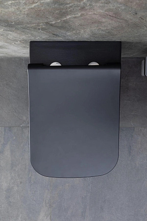 Унитаз подвесной Allen Brau Infinity 4.21011.31 с крышкой, черный матовый