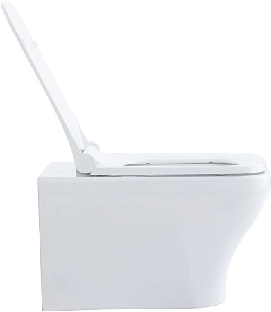 Унитаз подвесной Allen Brau Infinity 4.21011.20 с крышкой, белый глянец