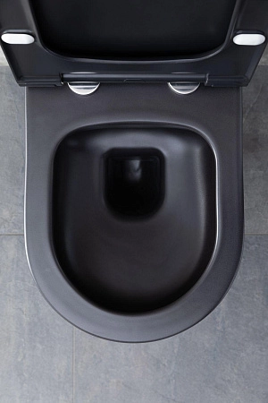 Унитаз подвесной Allen Brau Priority 4.31001.31 с крышкой, черный матовый