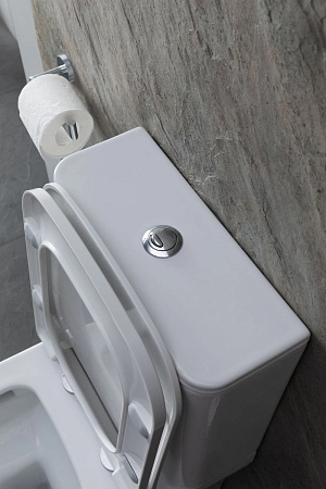 Чаша напольного унитаза Allen Brau Infinity 4.21012.20 с крышкой, белый глянец