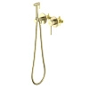 Гигиенический душ Aquatek Европа AQ1319BG золото шлифованное, встраиваемый Гигиенический душ Aquatek Европа AQ1319BG золото шлифованное, встраиваемый