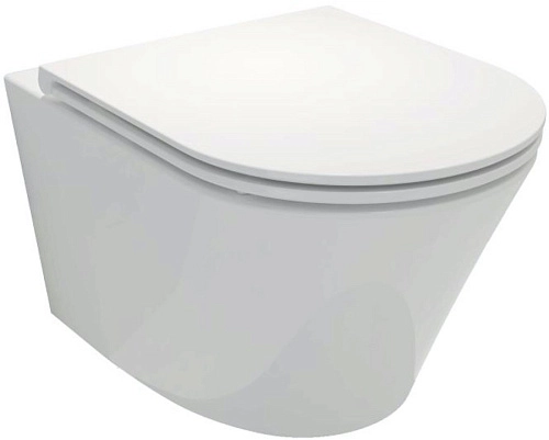 Унитаз подвесной Jacob Delafon Rodin EDY102-00 безободковый без сиденья Унитаз подвесной Jacob Delafon Rodin EDY102-00 безободковый без сиденья