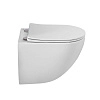 Унитаз подвесной BelBagno AMANDA-TOR BB051CH-TOR-FC/SC безободковый c сиденьем Унитаз подвесной BelBagno AMANDA-TOR BB051CH-TOR-FC/SC безободковый c сиденьем