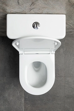 Чаша напольного унитаза Allen Brau Priority Tornado 4.31006.20 с крышкой, белый глянец