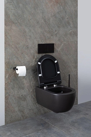 Унитаз подвесной Allen Brau Priority 4.31001.31 с крышкой, черный матовый