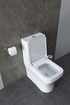 Чаша напольного унитаза Allen Brau Infinity 4.21012.20 с крышкой, белый глянец