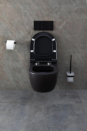 Унитаз подвесной Allen Brau Priority 4.31001.31 с крышкой, черный матовый
