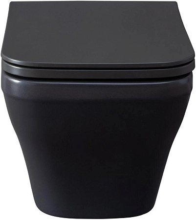 Унитаз подвесной Allen Brau Infinity 4.21011.AN с крышкой, антрацит