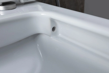 Чаша напольного унитаза Allen Brau Infinity 4.21012.20 с крышкой, белый глянец