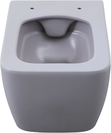 Унитаз подвесной Allen Brau Liberty 4.33007.AN с крышкой, антрацит