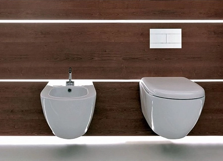 Клавиша смыва Jacob Delafon белая, глянцевая, пластик, механическая E4316-00 Клавиша смыва Jacob Delafon белая, глянцевая, пластик, механическая E4316-00