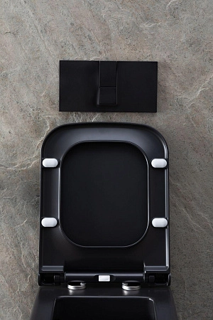 Унитаз подвесной Allen Brau Infinity 4.21011.31 с крышкой, черный матовый