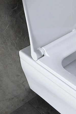 Унитаз подвесной Allen Brau Infinity 4.21011.20 с крышкой, белый глянец