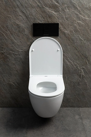 Унитаз подвесной Allen Brau Priority Tornado 4.31008.20 с крышкой, белый глянец