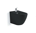 Биде подвесное Aquatek ЕВРОПА AQ1016-MB 510x355x310, цвет черный матовый Биде подвесное Aquatek ЕВРОПА AQ1016-MB 510x355x310, цвет черный матовый