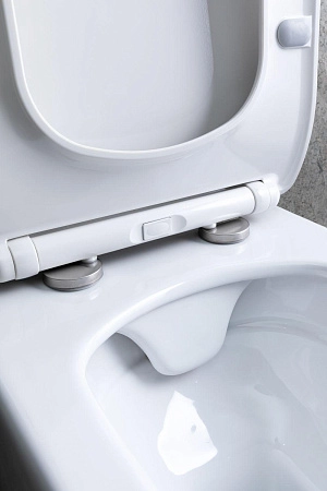 Унитаз подвесной Allen Brau Liberty 4.33007.20 с крышкой, белый