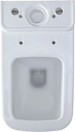 Чаша напольного унитаза Allen Brau Infinity 4.21012.20 с крышкой, белый глянец