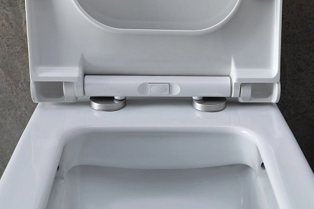 Чаша напольного унитаза Allen Brau Infinity 4.21012.20 с крышкой, белый глянец