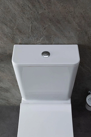 Чаша напольного унитаза Allen Brau Infinity 4.21012.20 с крышкой, белый глянец