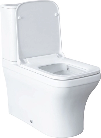 Чаша напольного унитаза Allen Brau Infinity 4.21012.20 с крышкой, белый глянец