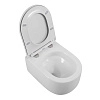 Унитаз подвесной BelBagno SOFT-TOR BB084CH-TOR/BB2031SC безободковый с сиденьем Унитаз подвесной BelBagno SOFT-TOR BB084CH-TOR/BB2031SC безободковый с сиденьем