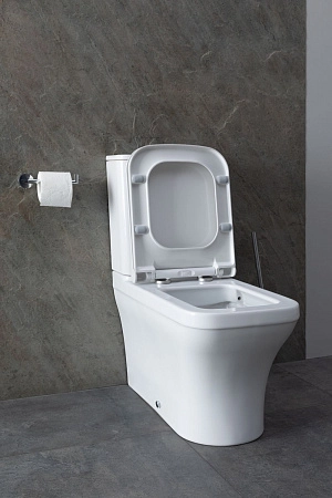 Чаша напольного унитаза Allen Brau Infinity 4.21012.20 с крышкой, белый глянец