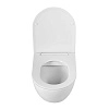 Унитаз подвесной BelBagno SFERA-R BB046CHR/SC безободковый c сиденьем Унитаз подвесной BelBagno SFERA-R BB046CHR/SC безободковый c сиденьем