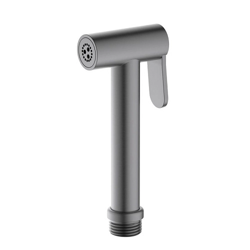 Гигиеническая лейка Aquatek AQ2057BGM черный хром шлифованный Гигиеническая лейка Aquatek AQ2057BGM черный хром шлифованный